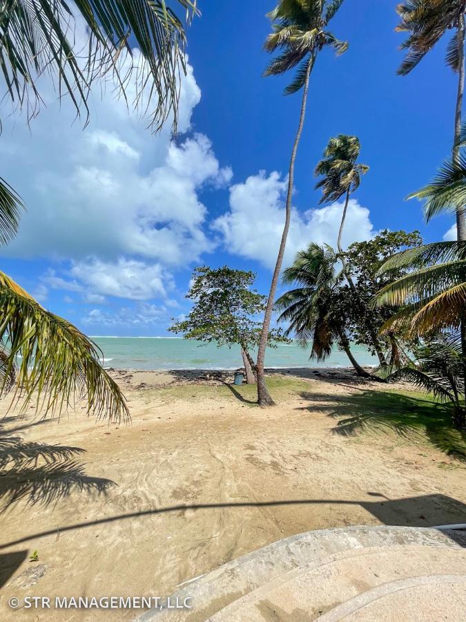 Upscale Condo At Aquatika Beach & Vacation Villas Loiza ภายนอก รูปภาพ